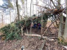 Wald Höhle mit Tannengrün